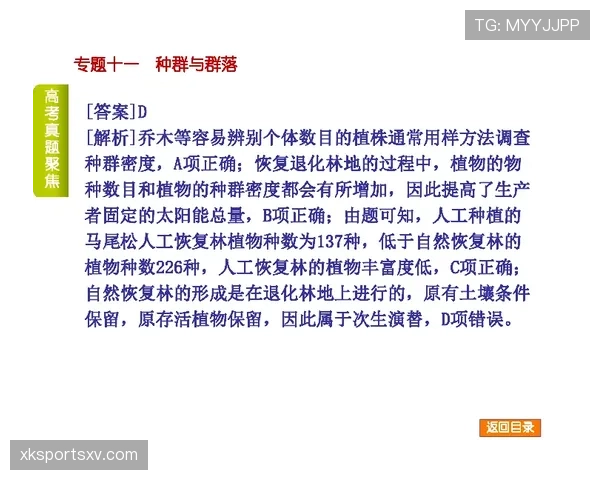 角旗规则有哪些细节易被忽视？权威解读全流程判定